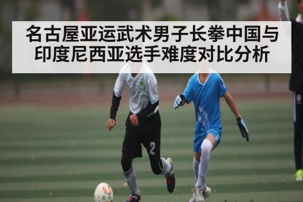 名古屋亚运武术男子长拳中国与印度尼西亚选手难度对比分析